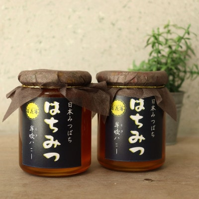牟岐ハニー　日本ミツバチの百花蜜　300g×2