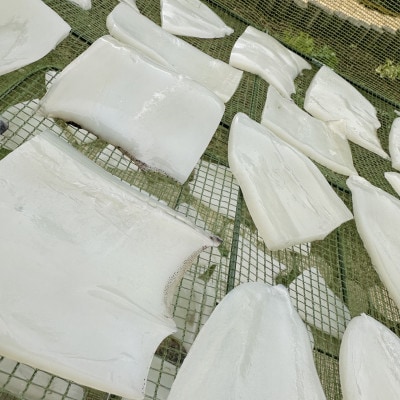 徳島県牟岐町産　アオリイカの干物　150g×4パック　(無添加・保存料・塩不使用)　酒の肴