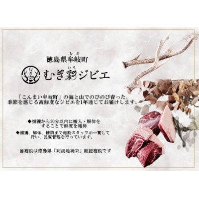 【さとふる限定】むぎ彩ジビエ　猪肉スライス鍋用とミンチ 計600g   徳島県牟岐町