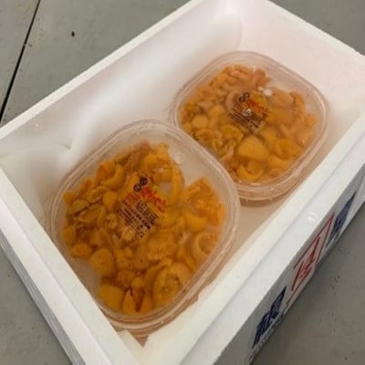 塩水うに85g前後×2P B-60003