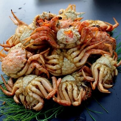 【北海道根室産】クリガニメス14~19尾(計1.1kg) SA-57013