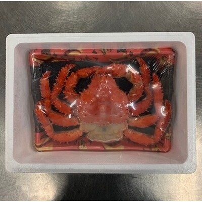 【年内配送】【北海道根室産】花咲がに姿(切込入り)500g×1尾 A-01018