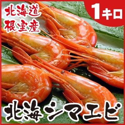 【北海道根室産】北海シマエビ1kg(160～180尾) A-07012