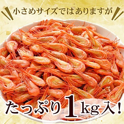 【北海道根室産】北海シマエビ1kg(160～180尾) A-07012
