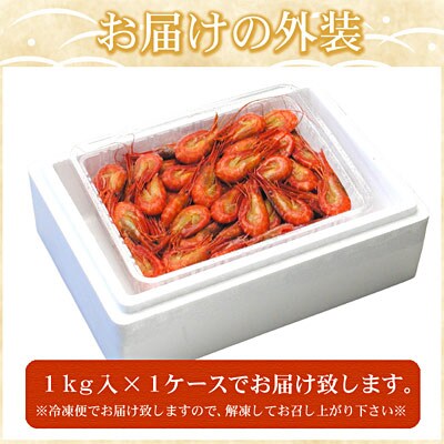 【北海道根室産】北海シマエビ1kg(160～180尾) A-07012