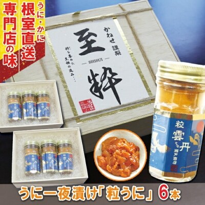 うに一夜漬け 粒うに 60g 6本 D お礼品詳細 ふるさと納税なら さとふる