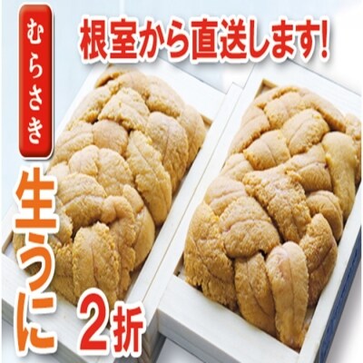 ムラサキウニ70～80g×2折 A-71004