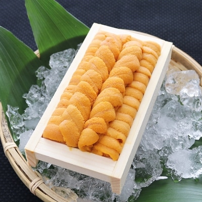 エゾバフンウニ130g×1折 B-71019