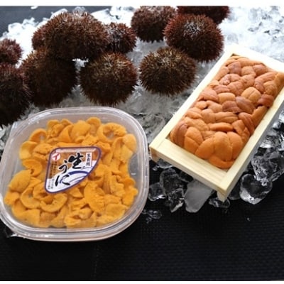 エゾバフンウニ折・塩水P各100g[2026年3月中旬以降発送] F-71002