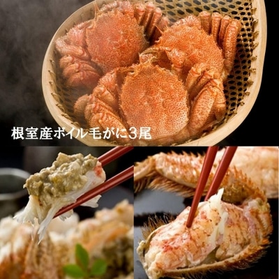 【北海道根室産】ボイル毛がに300g×3尾 C-01062