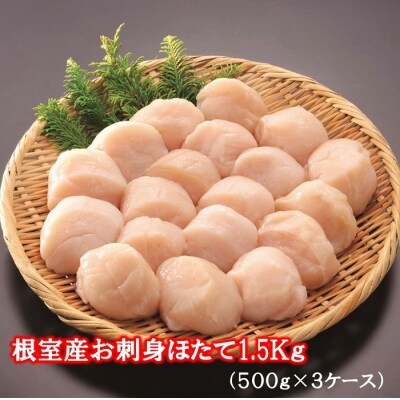 【北海道根室産】お刺身ほたて1.5kg B-01010