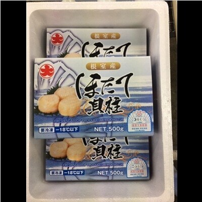 【北海道根室産】お刺身ほたて1.5kg B-01010