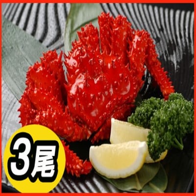 【北海道根室産】花咲かに500～650g前後×3尾 B-30002
