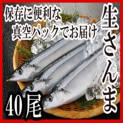 【北海道根室産】冷凍さんま40尾 C-30002