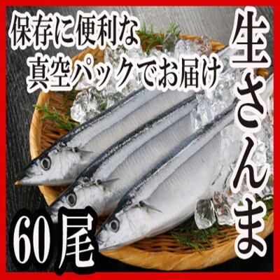 【北海道根室産】さんま60尾 D-30002