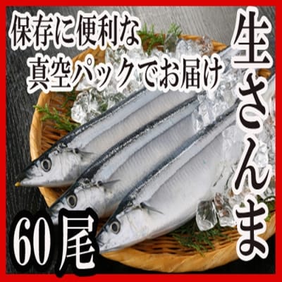 【北海道根室産】冷凍さんま60尾 D-30002