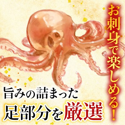 【北海道根室産】お刺身用たこ足2本(計2～2.5kg) C-36068