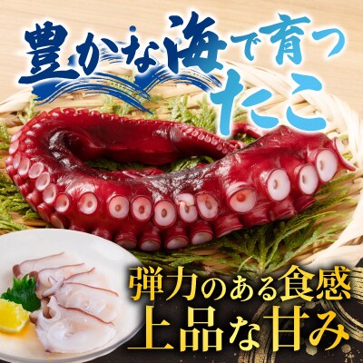 【北海道根室産】お刺身用たこ足2本(計2～2.5kg) C-36068