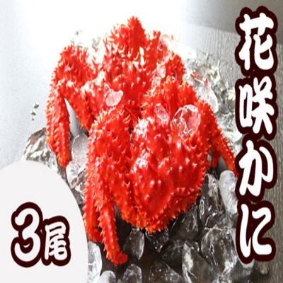 【北海道根室産】花咲かに500～650g前後×3尾 B-36002