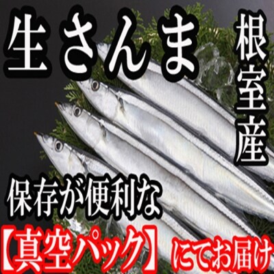 【北海道根室産】さんま40尾 C-36002