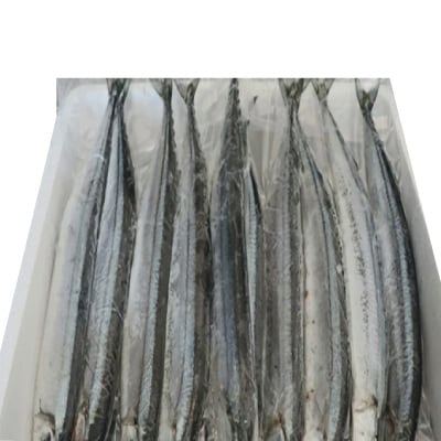 【北海道根室産】冷凍さんま40尾 C-36002