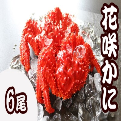【北海道根室産】花咲かに400g～500g前後×6尾 C-36031