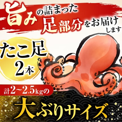 【北海道根室産】お刺身用たこ足2本(計2～2.5kg) C-70068
