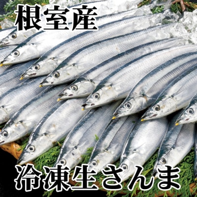 【北海道根室産】さんま40尾 C-70002