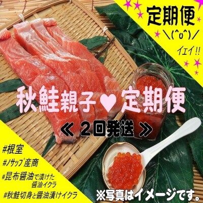 <定期便>【北海道根室産】秋鮭親子Aコース定期便(2回発送) D-59010