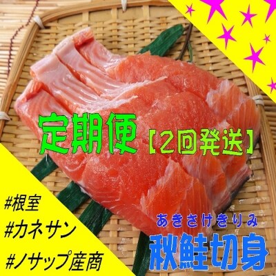 <定期便>【北海道根室産】秋鮭切り身セット(2回発送) D-59012