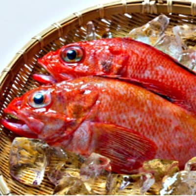 【北海道根室産】鮮キチジ(めんめ、キンキ) D-52001
