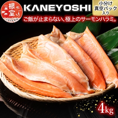 とろサーモンハラミ4kg B-09013