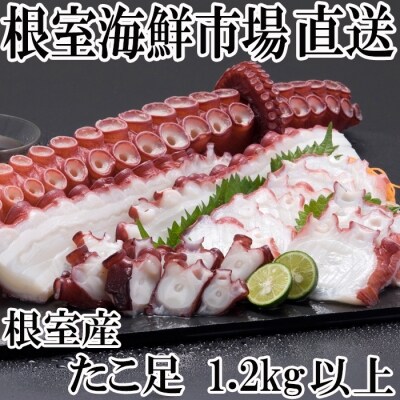 北海道根室産 刺身用たこ足 1 2kg以上 A お礼品詳細 ふるさと納税なら さとふる