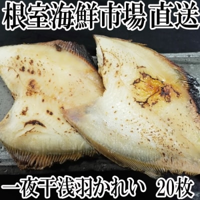 【北海道根室産】一夜干し浅羽かれい20枚 A-14063