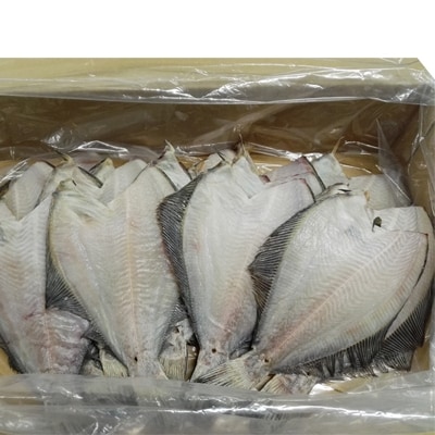 【北海道根室産】一夜干し浅羽かれい20枚 A-14063