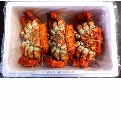 【北海道根室産】花咲ガニ570～660g×3尾 A-57006
