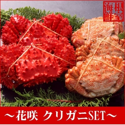【北海道根室産】花咲ガニとクリガニセット5～6尾(計1.5kg前後) A-57015