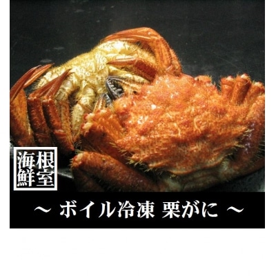 【北海道根室産】クリガニ12～18尾(計2.4kg) A-57017