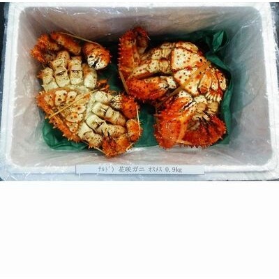 【北海道根室産】花咲ガニオスメス各1尾(チルド便) A-57019