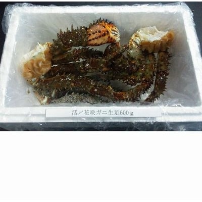 【北海道根室産】活〆花咲ガニ生足600g A-57020