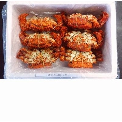  <12/21まで年内配送>★花咲ガニ5～7尾(計1.7kg前後) A-57027