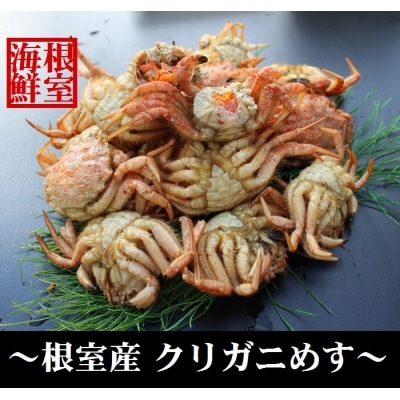 【北海道根室産】クリガニメス15～20尾(計1.2kg) A-57029