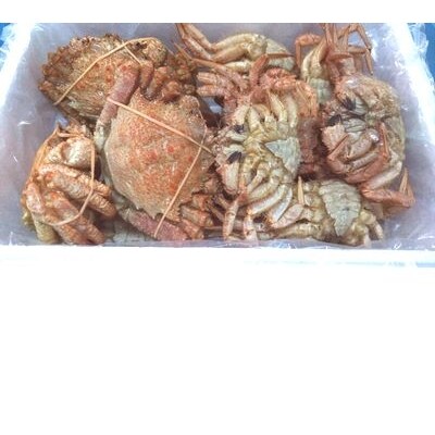 【北海道根室産】クリガニメス15～20尾(計1.2kg) A-57029