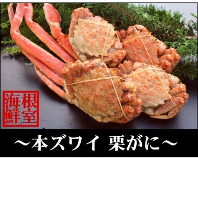 <12/18まで年内配送>ズワイガニとクリガニの食べ比べセット A-57031