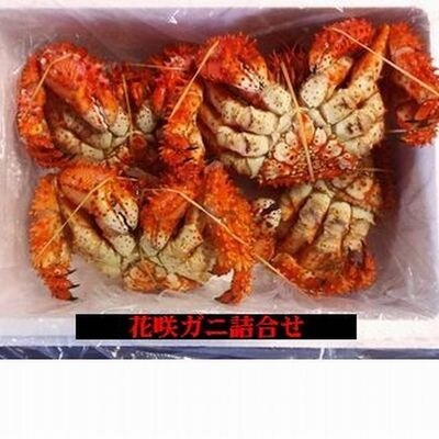 【北海道根室産】花咲ガニ510～600g×4尾 B-57003