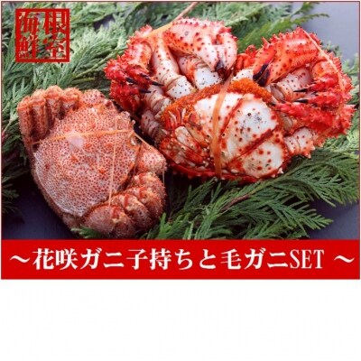 北海道根室産 花咲ガニメス子持ちと毛ガニセット B お礼品詳細 ふるさと納税なら さとふる