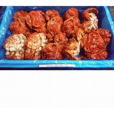 【北海道根室産】花咲ガニ410～500g×10尾セット C-57001