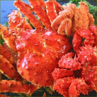 本タラバガニ 花咲ガニ 毛ガニの三種のカニセット C お礼品詳細 ふるさと納税なら さとふる