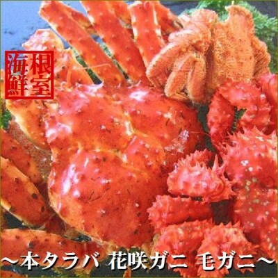本タラバガニ 花咲ガニ 毛ガニの三種のカニセット C お礼品詳細 ふるさと納税なら さとふる 本タラバガニ 花咲ガニ 毛ガニの三種のカニセット C お礼品詳細 ふるさと納税なら さとふる