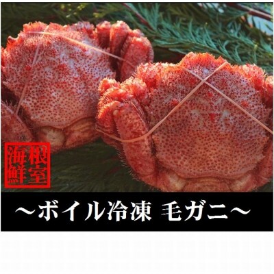 【北海道根室産】毛ガニ2尾(計800g以上) C-57012